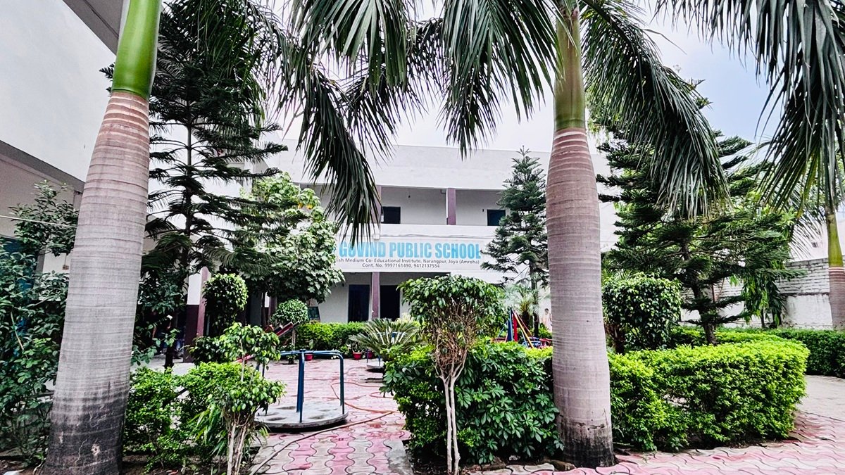 School Library
